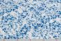 ШТАПЕЛЬ ТВИЛ БЕЛЬМОНДО ПРИНТ  Синий Узоры ,1073490 фото #2