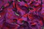 ЖАККАРД КОСТЮМНЫЙ  Фиолетовый Цветы,1053485 фото #3