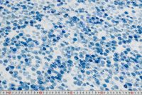 ШТАПЕЛЬ ТВИЛ БЕЛЬМОНДО ПРИНТ Синий Узоры ,1073490 фото #2