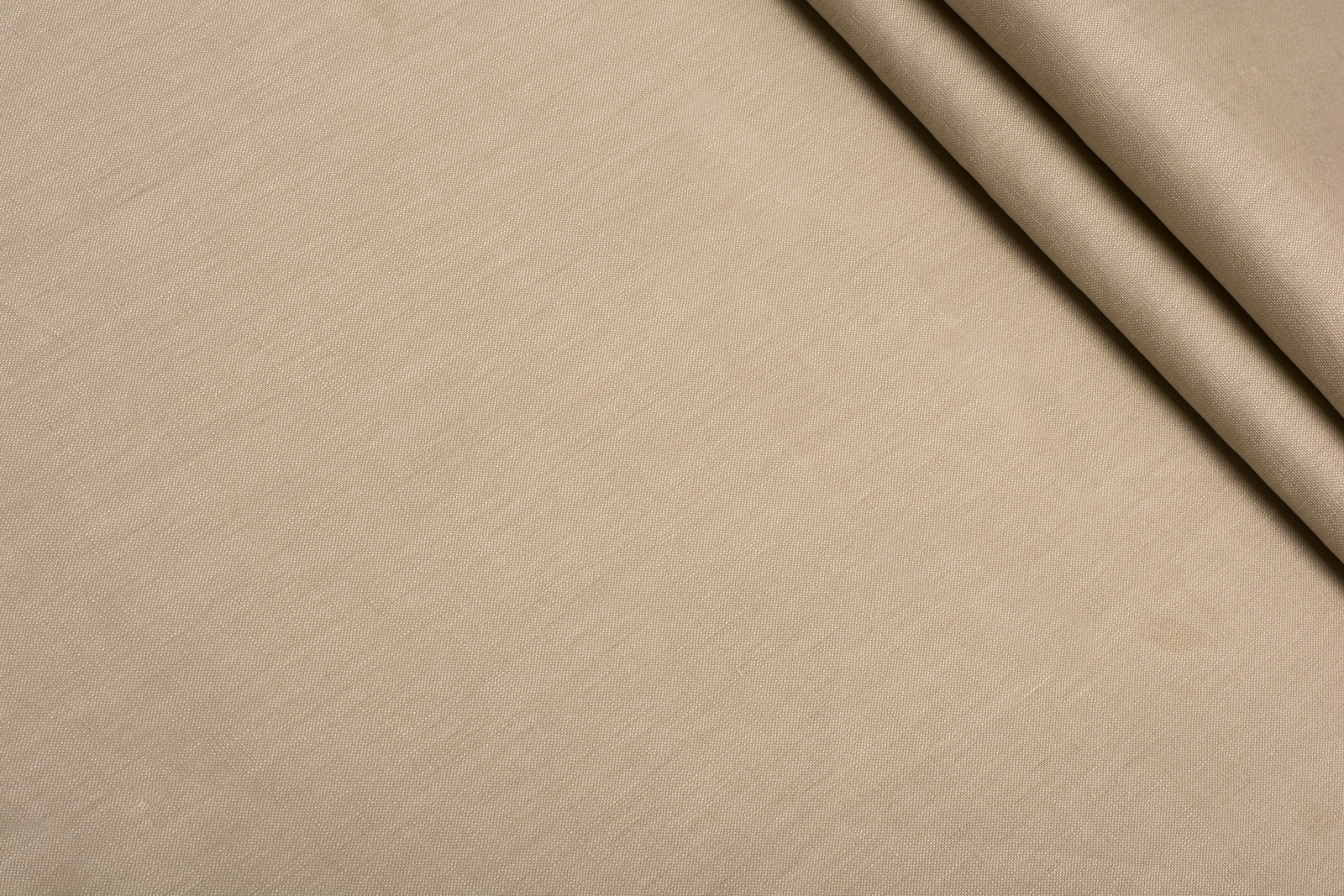 ЛЬОН СОРОЧКОВИЙ