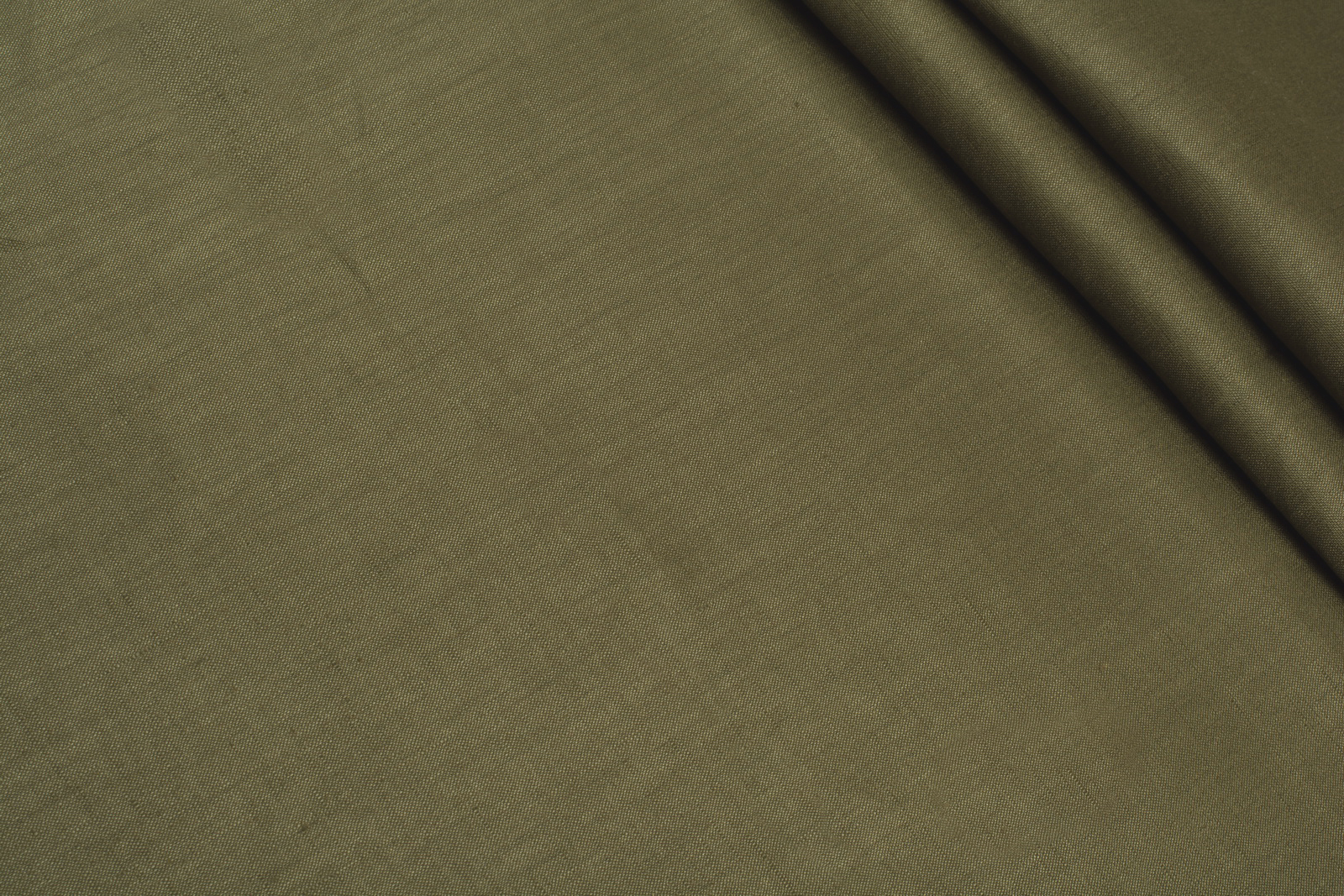 ЛЬОН СОРОЧКОВИЙ