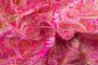 ЖАКАРД ПРИНТ МЕТАЛЛИК  Рожевий Турецькі огірки,0258577 фото #3
