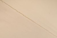 ПОПЛІН СОРОЧКОВИЙ GIOVE Бежевий,1095577 фото #3