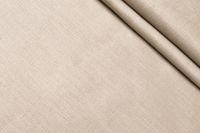 ЛЬОН СОРОЧКОВИЙ Бежевий,1036471 фото #1