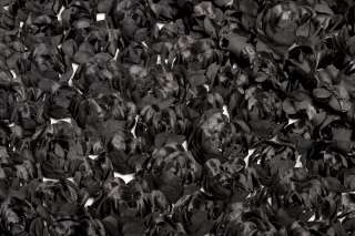 СІТКА З АПЛІКАЦІЄЮ