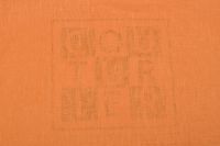 ЛЬОН Помаранчевий,1110287 фото #4