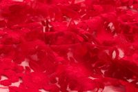 СІТКА З ВИШИВКОЮ Червоний Квіти,0575636 фото #3