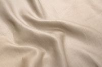 ЛЬОН СОРОЧКОВИЙ Бежевий,1036471 фото #2