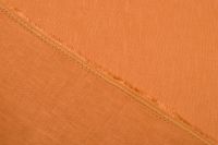 ЛЬОН Помаранчевий,1110287 фото #3