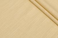 ЛЬОН PARMA Жовтий,1129838 фото #1