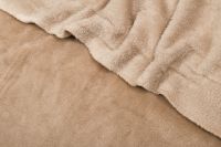 ПЛЮШ ОДНОТОННИЙ Бежевий,1127094 фото #3