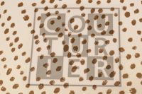 ШИФОН ПРИНТ Бежевий Горохи,1131817 фото #5