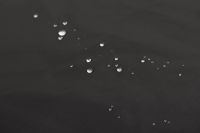 ПЛАЩОВА З ПРОСОЧЕННЯМ Чорний,1140475 фото #4