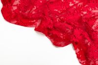 СІТКА З ВИШИВКОЮ Червоний Квіти,0575636 фото #5