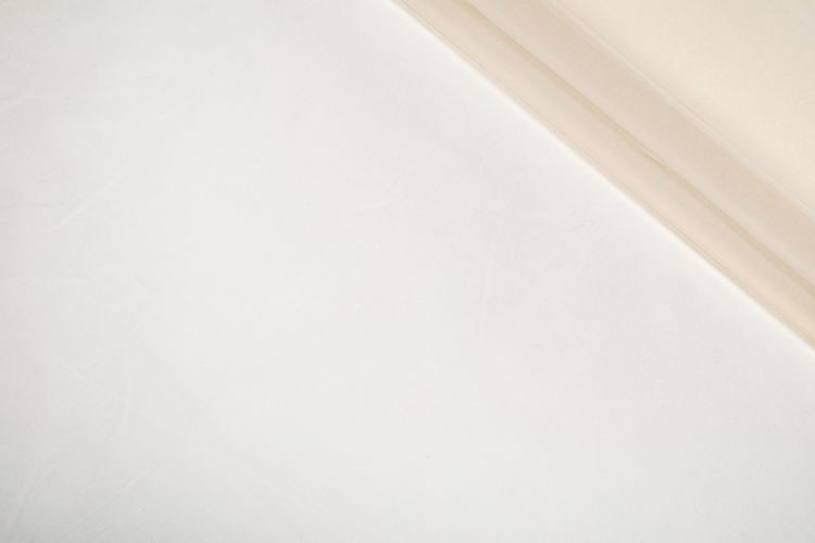 ОРГАНЗА ШОВК Бежевий,1068205